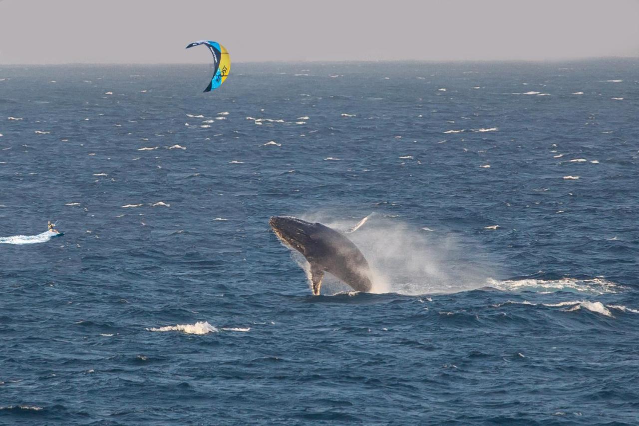 Hostel Kitesurf Tofo House Zewnętrze zdjęcie